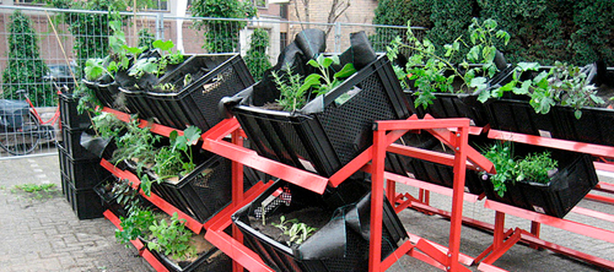 Je eigen verse supermarkt in je achtertuin