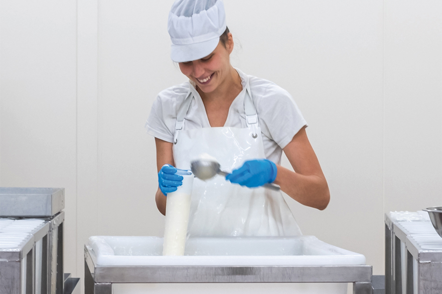 kaasmakerij kaasmakerij